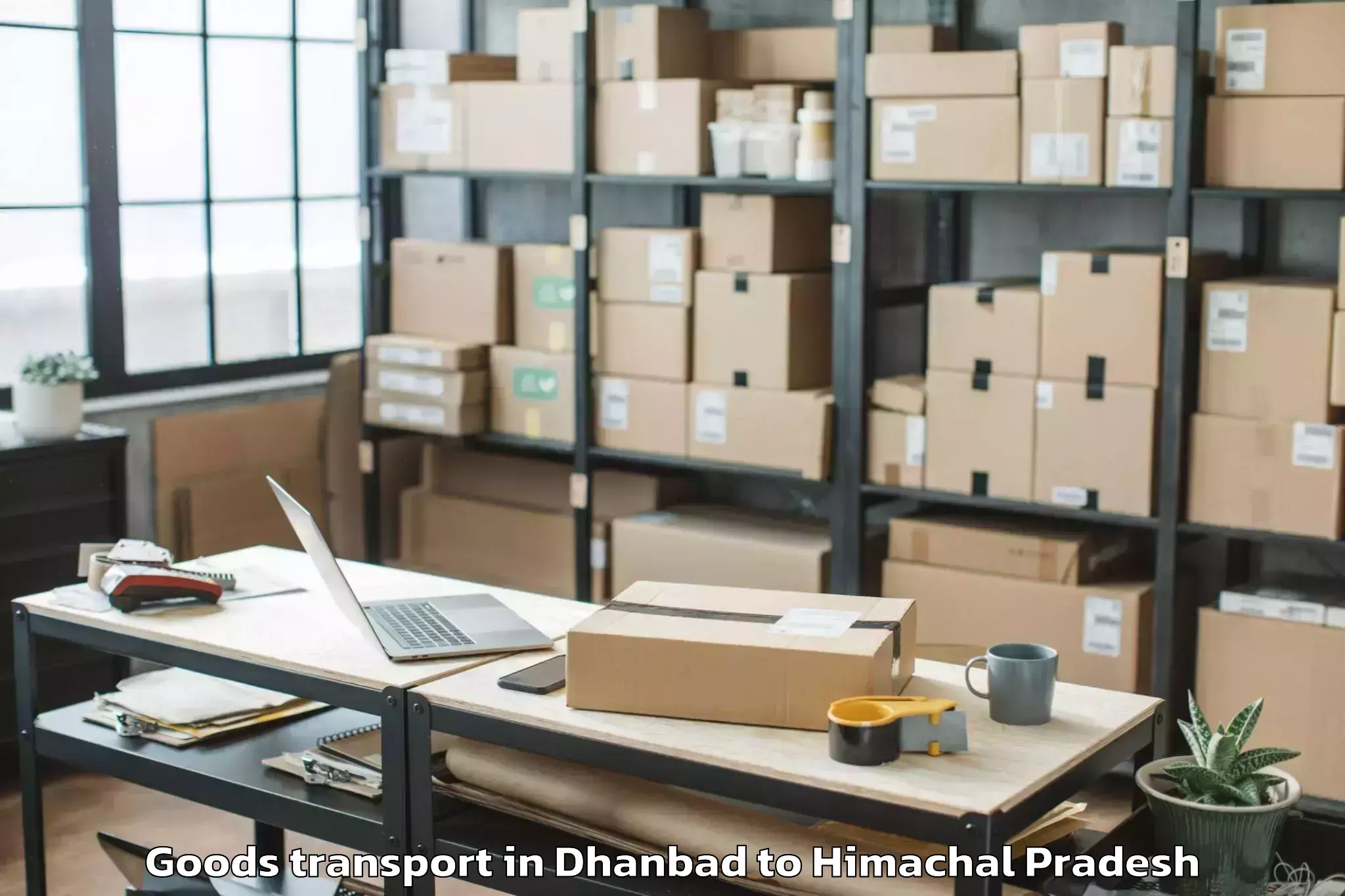 Easy Dhanbad to Icfai University Himachal Prad Goods Transport Booking